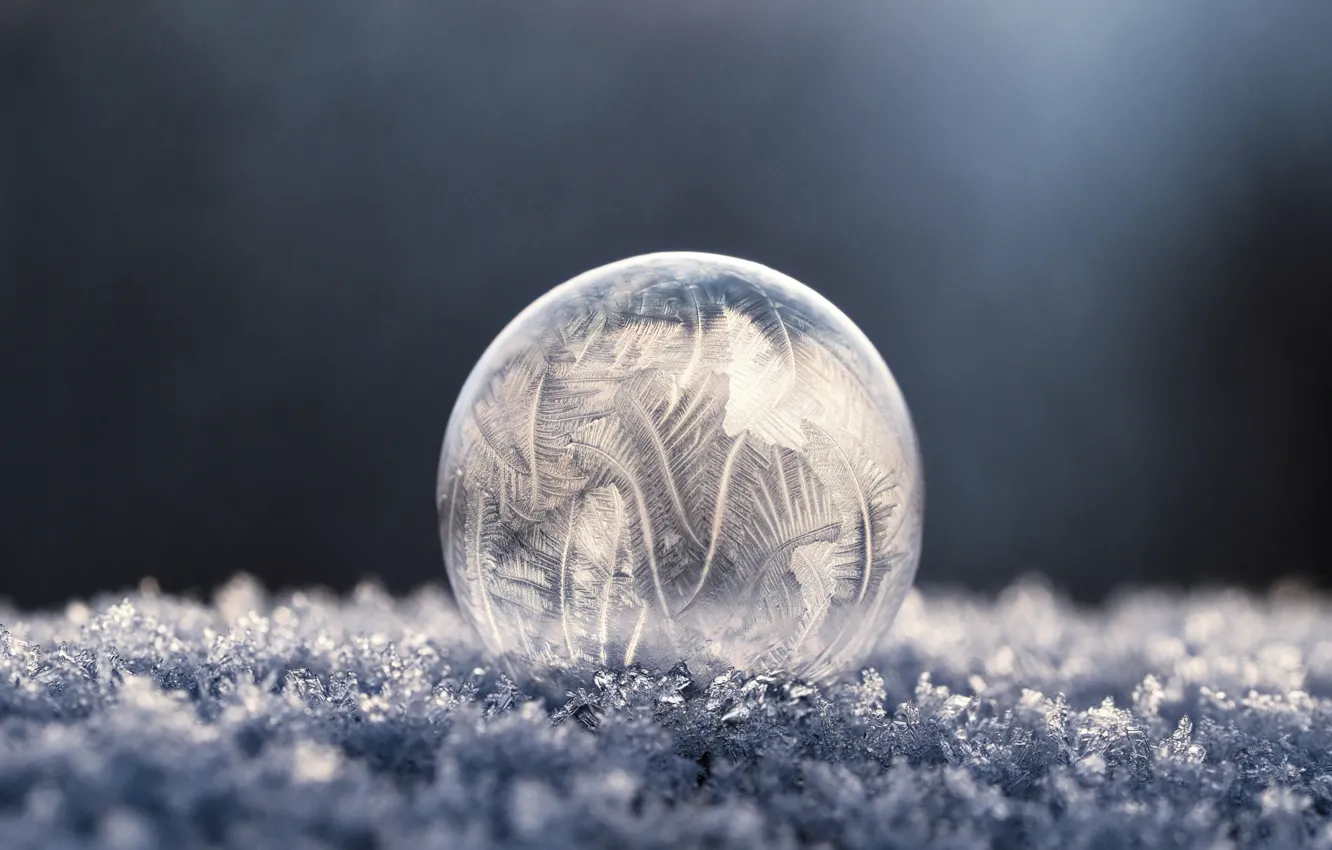 Фото обои холод, макро, узор, морозный узор, мыльный пузырь