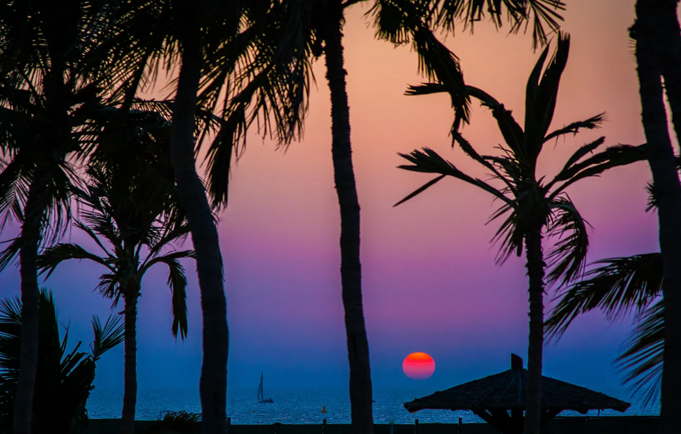 Фото обои море, небо, солнце, закат, пальмы, лодка, силуэт, парус