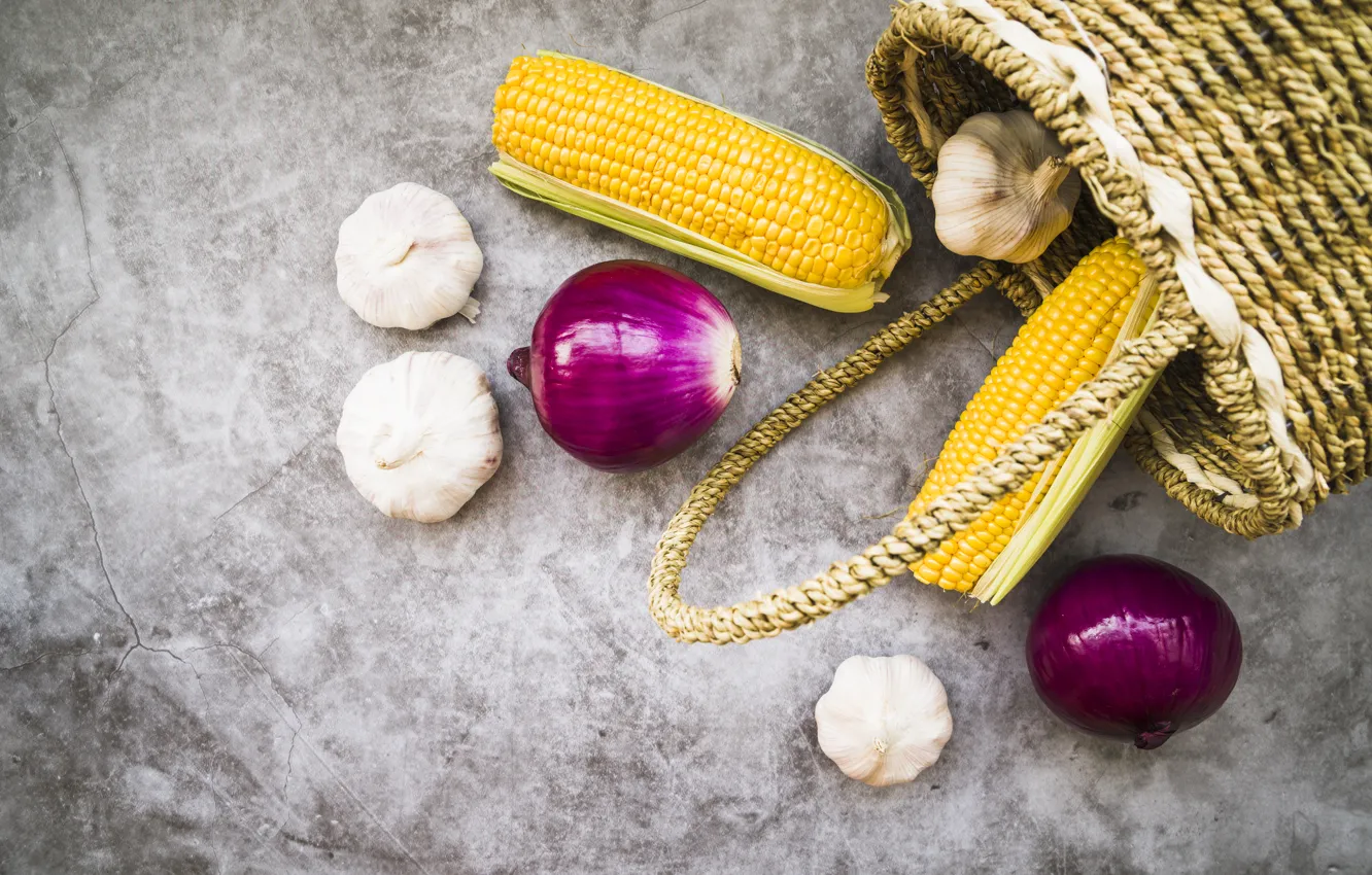 Фото обои осень, кукуруза, лук, плоды, чеснок