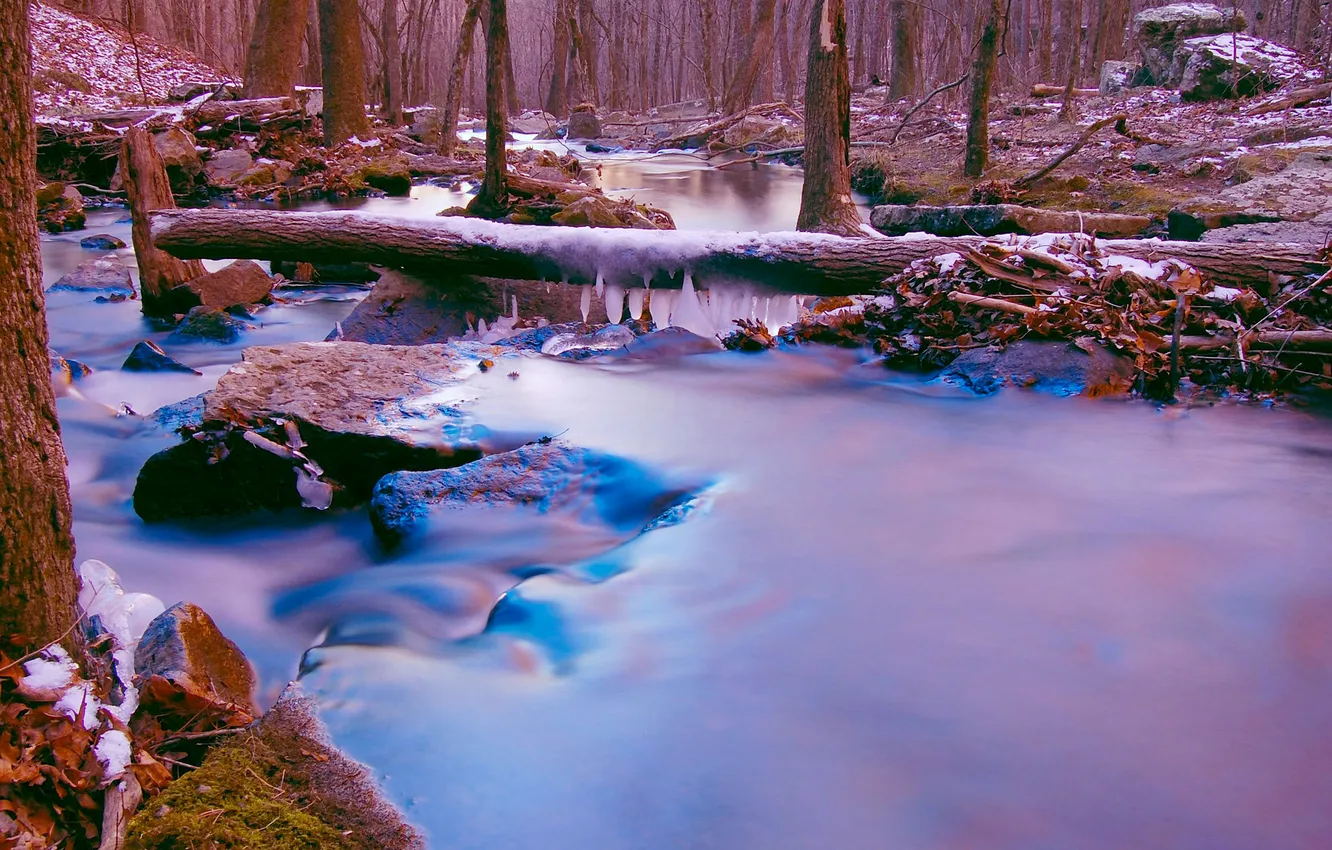 Фото обои лед, лес, снег, деревья, река, камни, поток