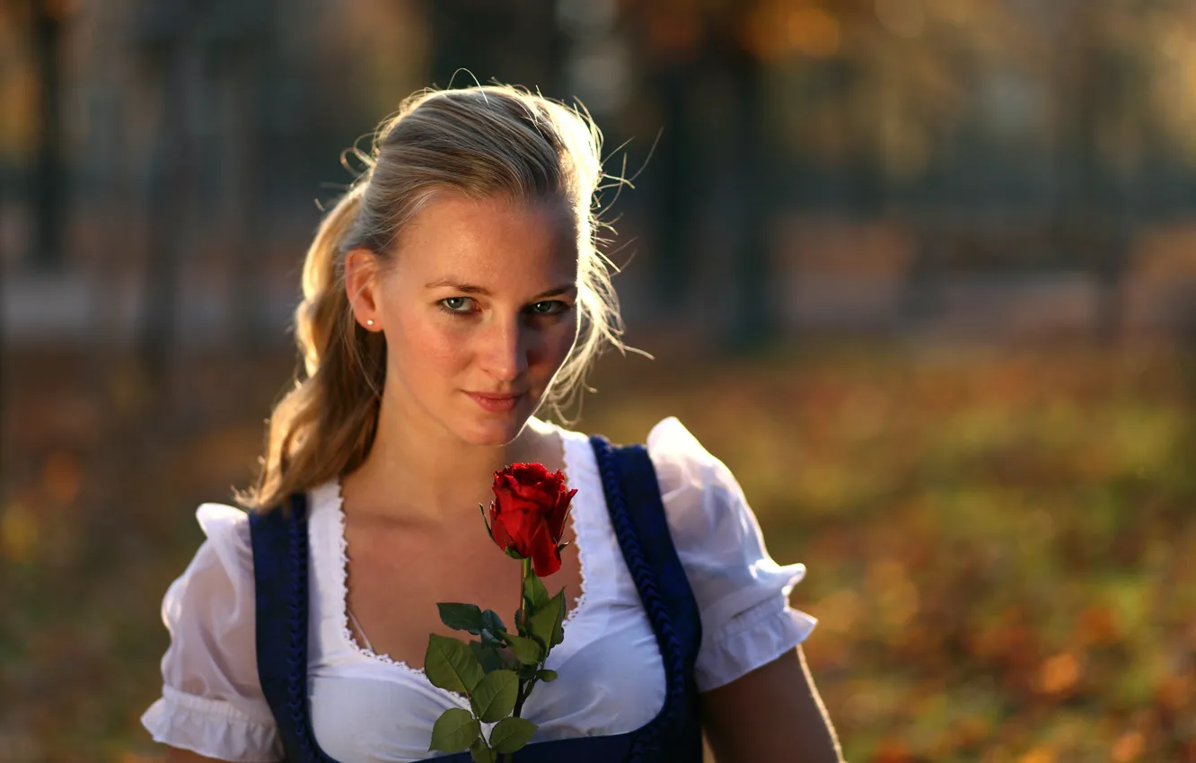 Фото обои взгляд, девушка, роза, портрет