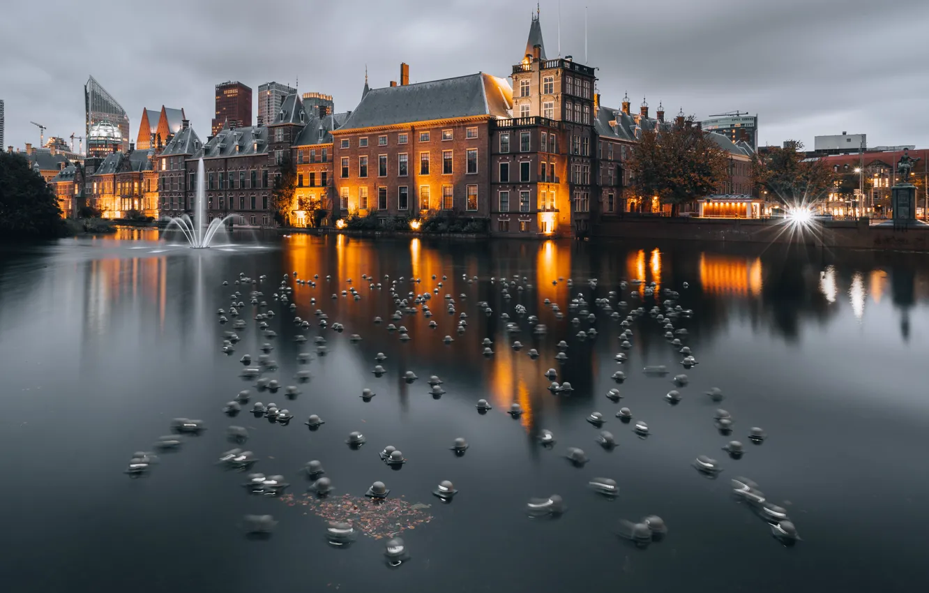 Фото обои Нидерланды, Гаага, Hofvijver