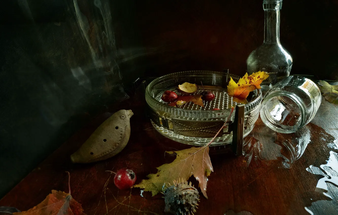 Фото обои стекло, посуда, натюрморт, осенние листья