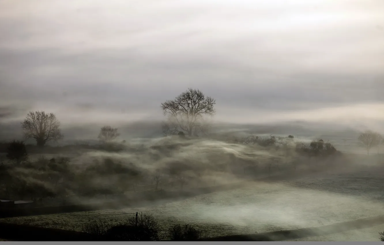 Фото обои поле, пейзаж, ночь, туман