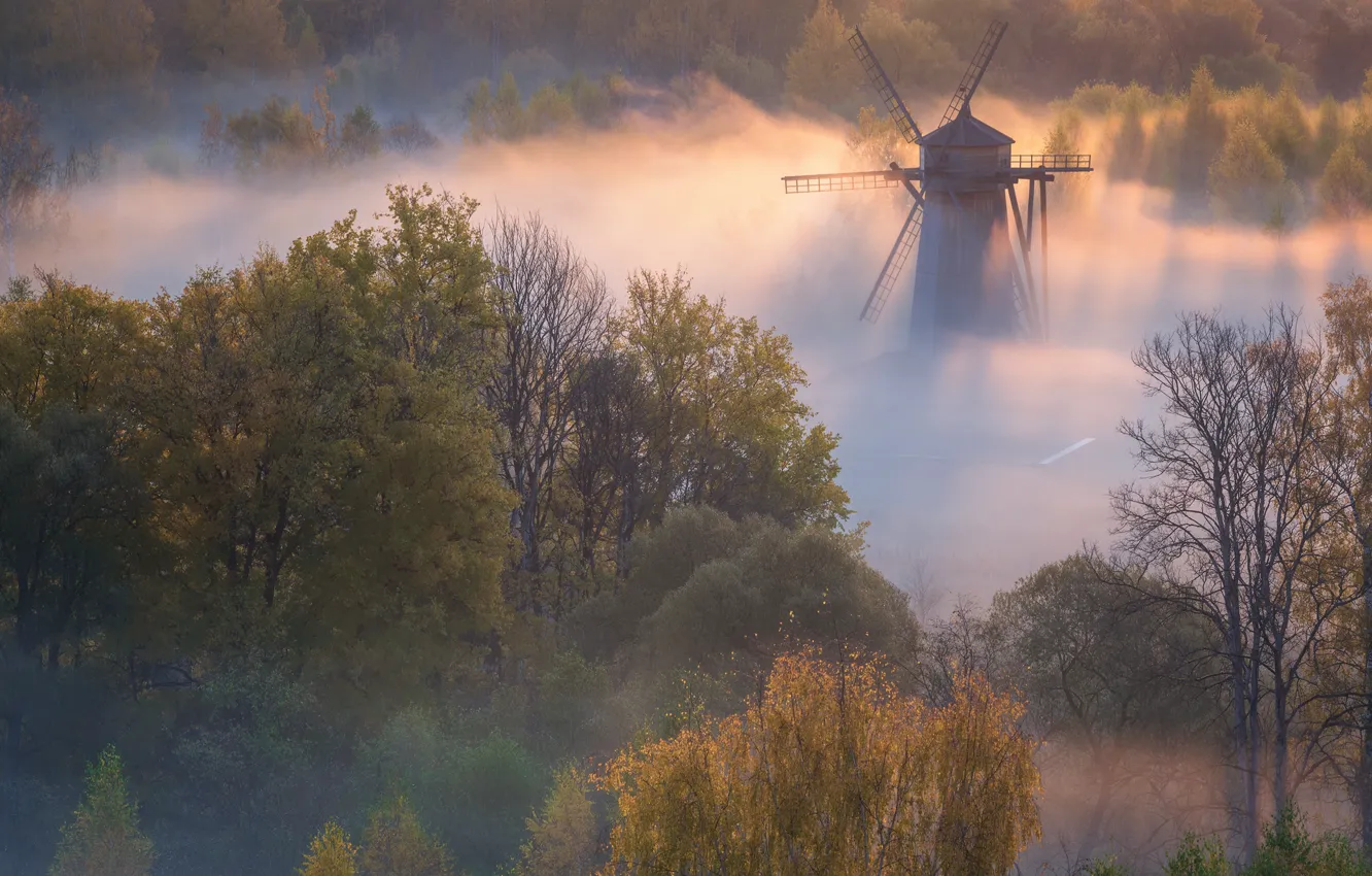 Фото обои осень, деревья, пейзаж, природа, туман, рассвет, утро, мельница