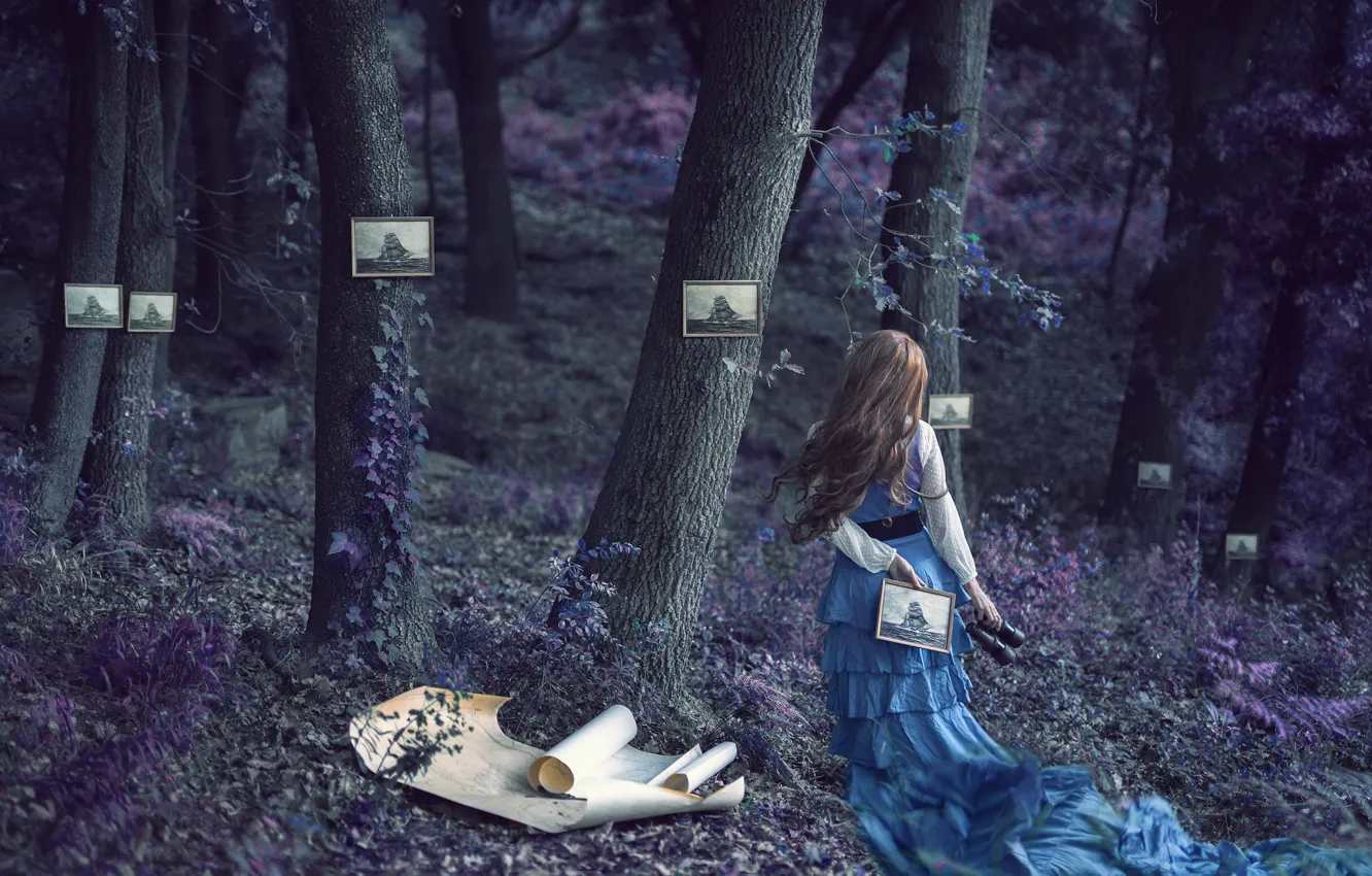 Фото обои лес, девушка, картины