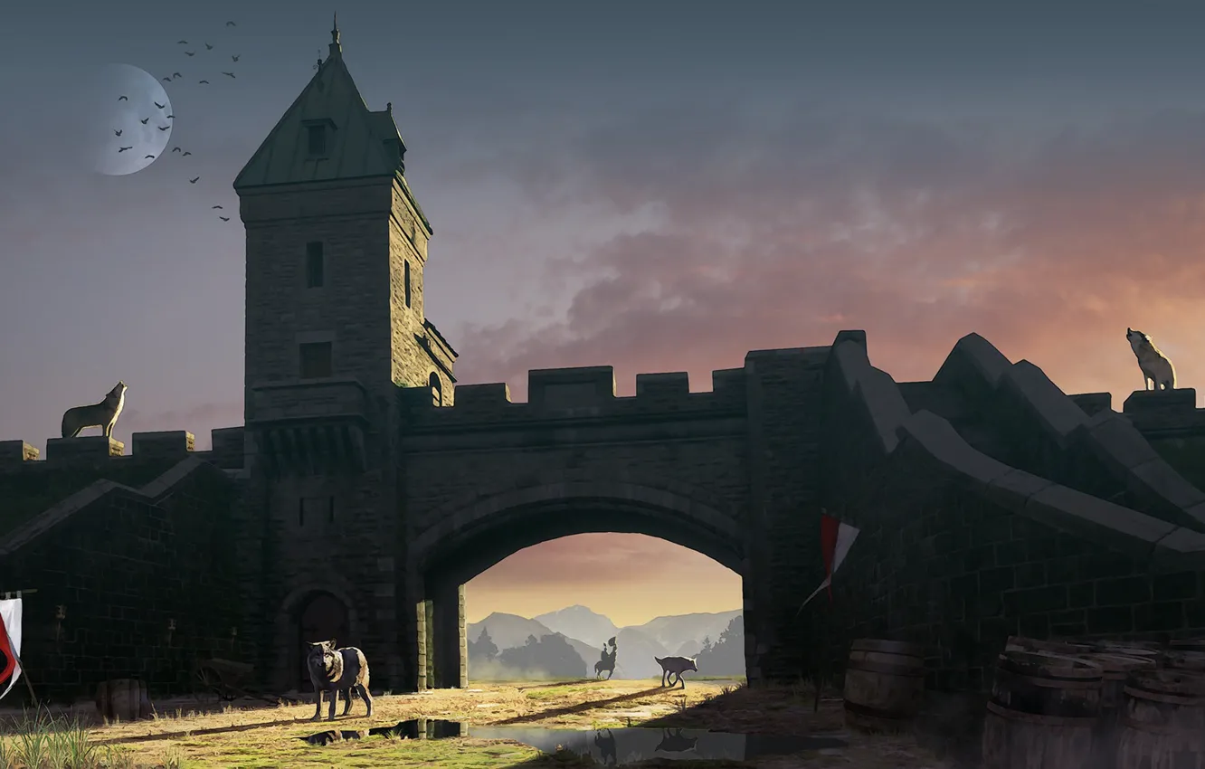 Фото обои стена, волк, арка, бочка, Nobody here