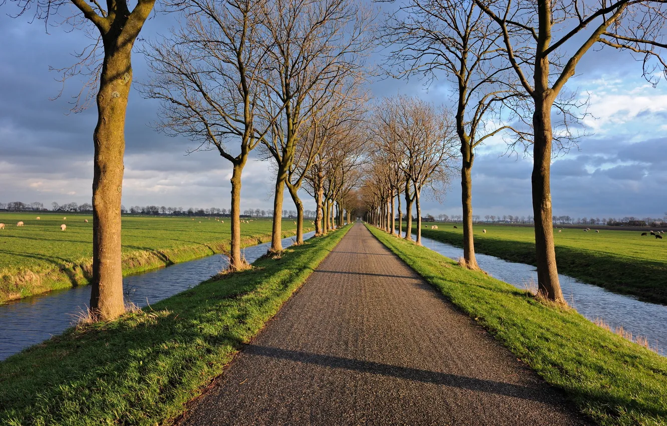 Фото обои дорога, деревья, пейзаж, канал