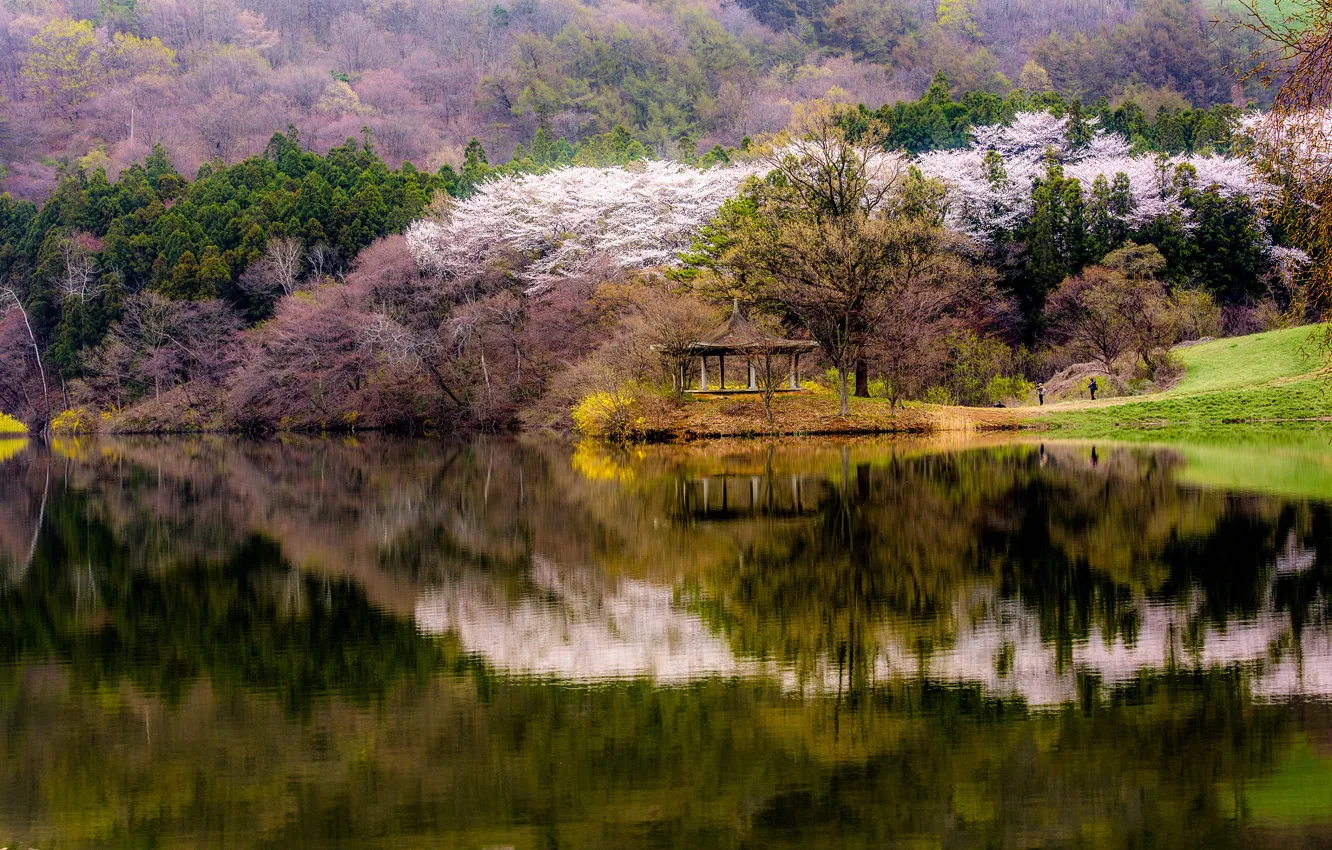 Фото обои лес, вода, деревья, горы, озеро, отражение, берег, весна