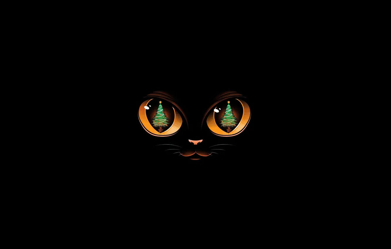 Фото обои кот, отражение, праздник, глазки, Рождество, черный фон, Christmas, eyes