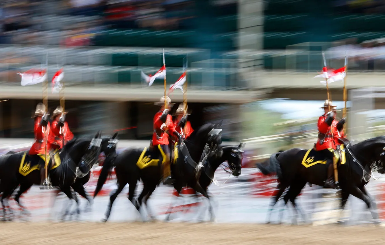 Фото обои лошадь, всадник, родео, Королевская канадская конная полиция, Калгарийский Стампид