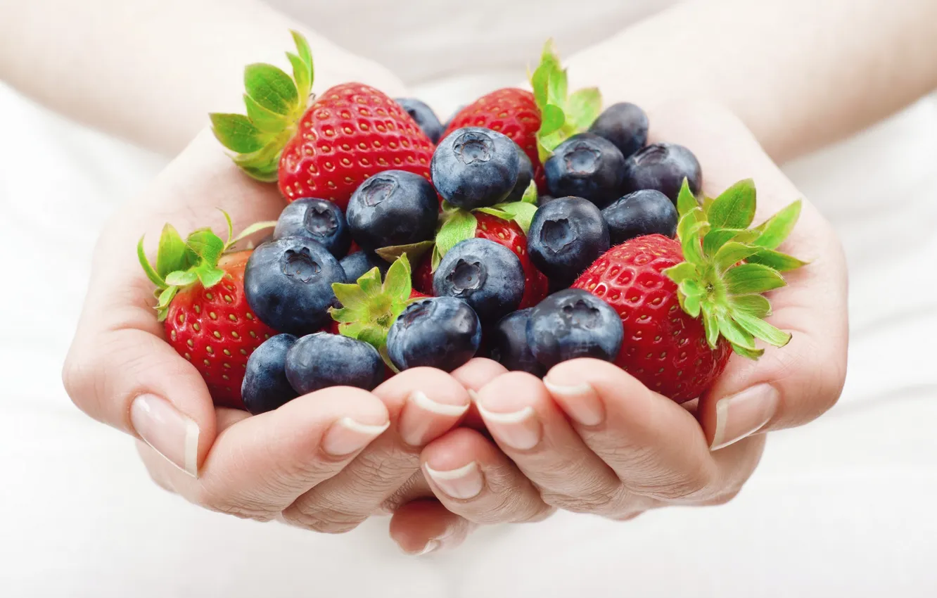 Фото обои ягоды, руки, клубника, ладони, голубика