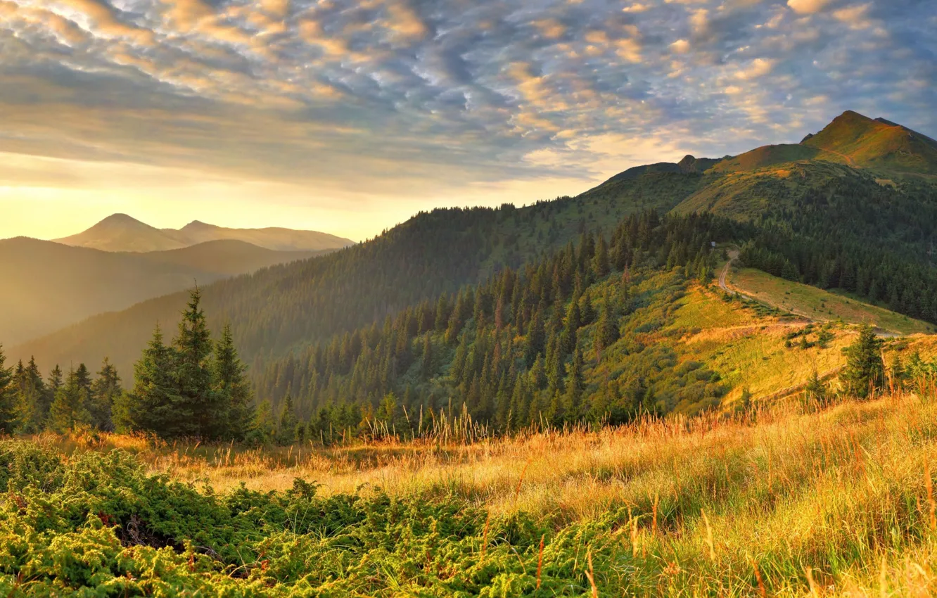 Фото обои осень, лес, небо, облака, свет, горы, туман, холмы