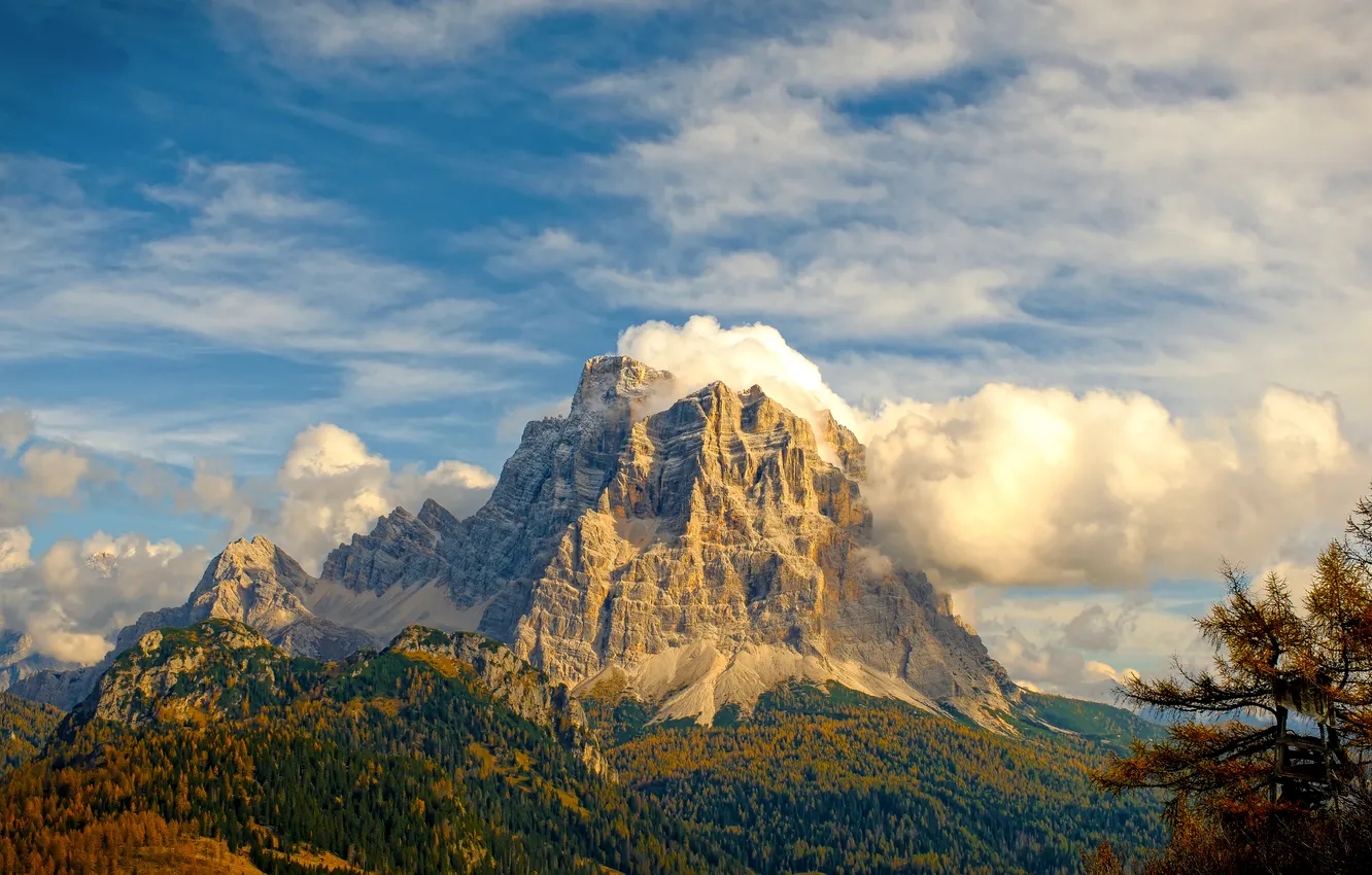 Фото обои forest, sky, trees, landscape, Italy, nature, mountains, clouds