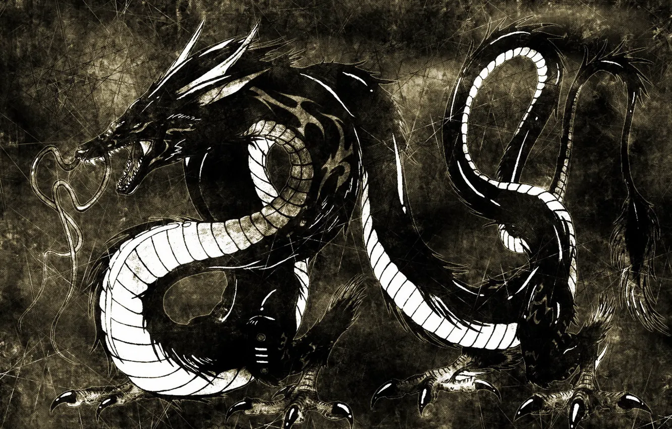 Фото обои черный фон, 2012, dragon, год дракона, наступающий, водяной китайский дракон