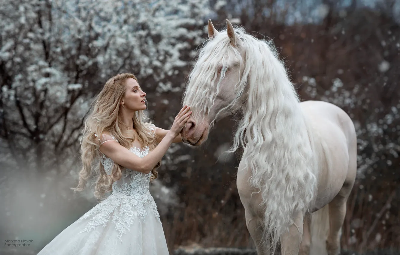 Фото обои девушка, конь, лошадь, платье, блондинка, длинные волосы, Marketa Novak, Marie Renčová Kružíková