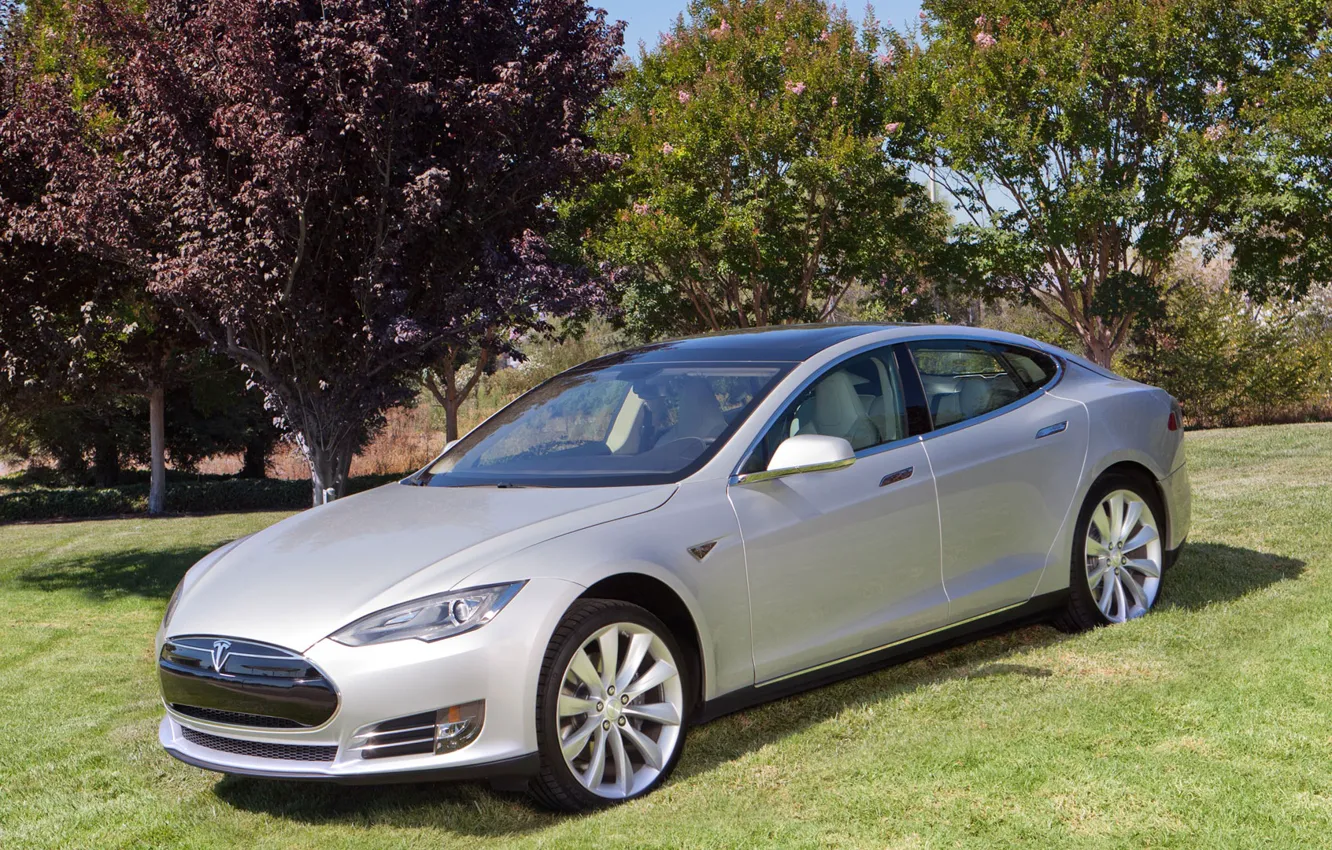 Фото обои природа, седан, Tesla, Model S