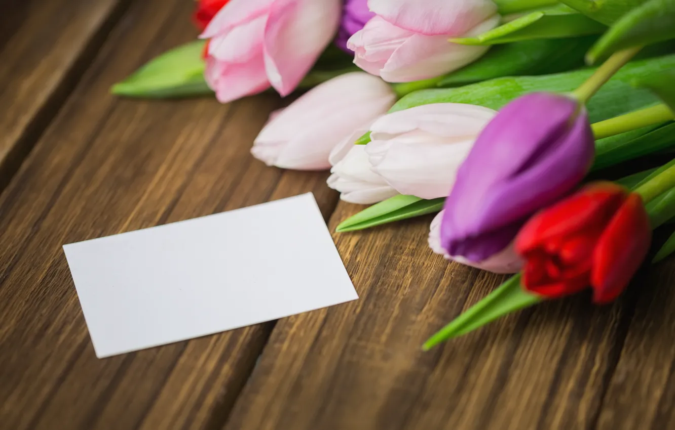 Фото обои цветы, colorful, тюльпаны, red, white, wood, flowers, tulips