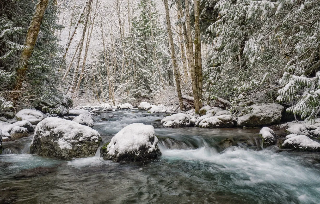 Фото обои Зима, Река, Снег