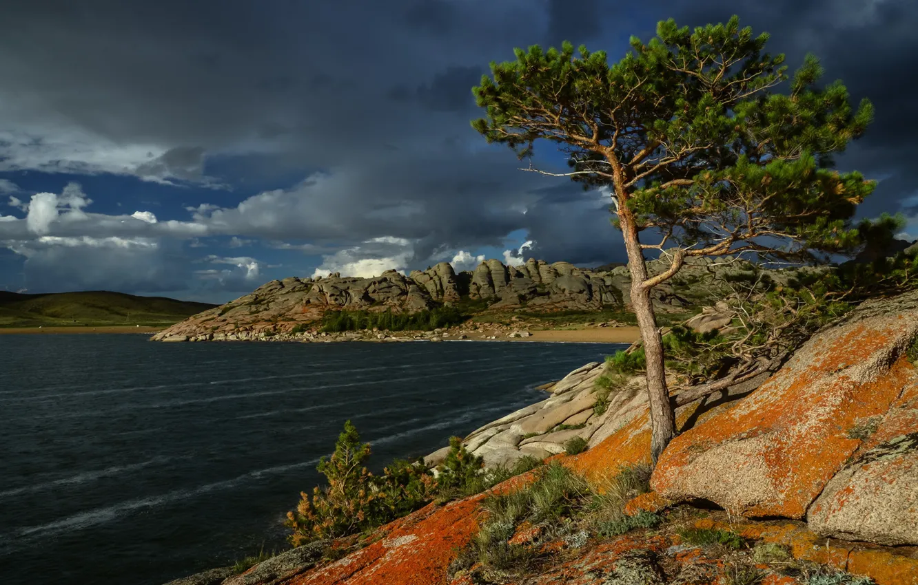 Фото обои небо, озеро, камни, дерево, Казахстан, сосна, Озеро Торайгыр, Баянаульский национальный парк