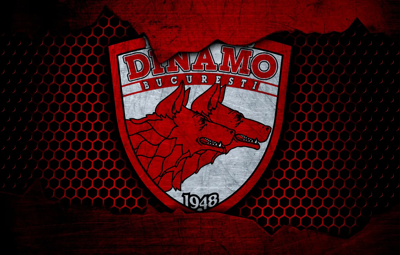 Фото обои wallpaper, logo, football, Sport, Dinamo Bucharest