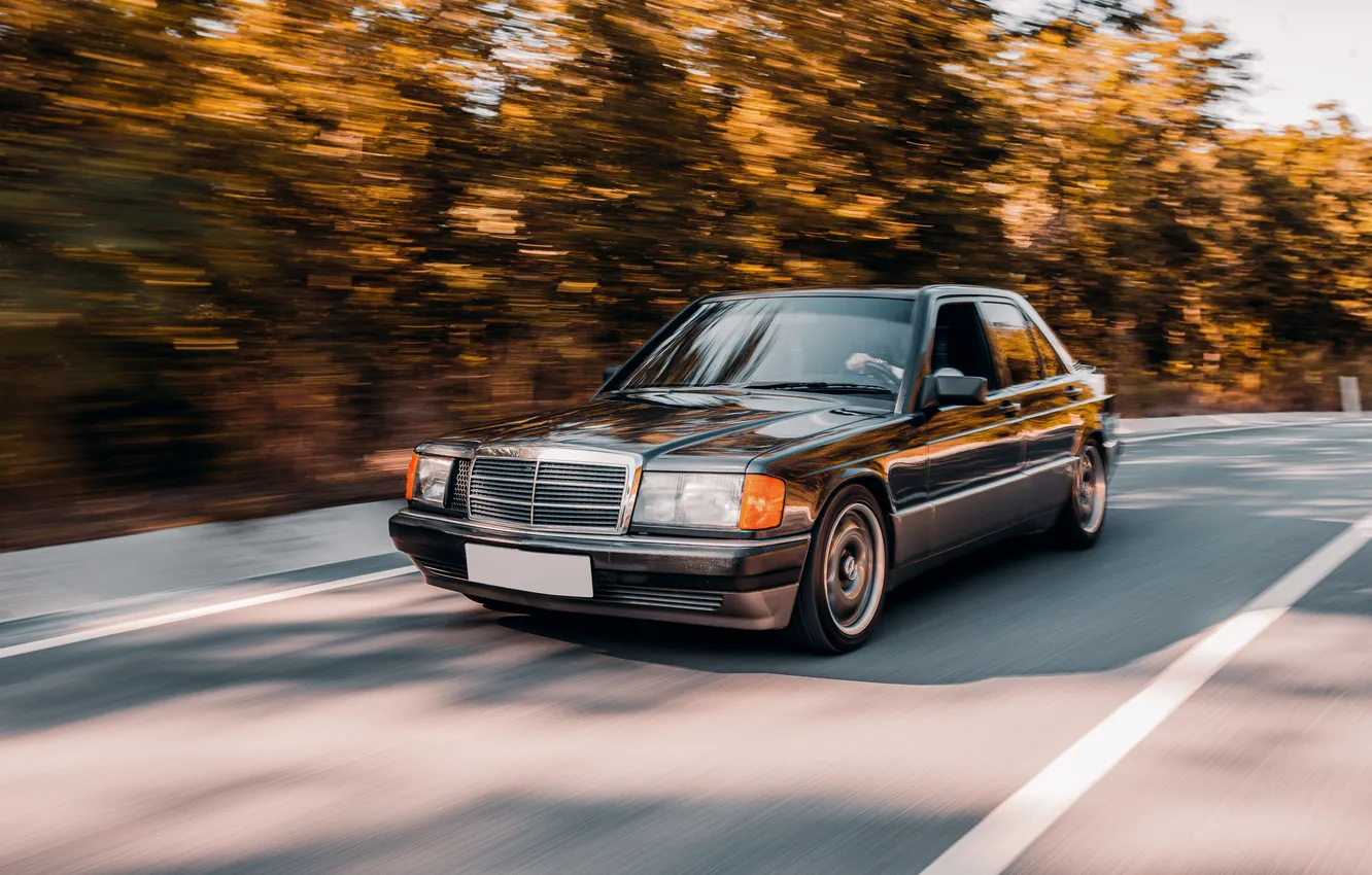 Фото обои car, forest, black, vintage, road, driving, longing, accross