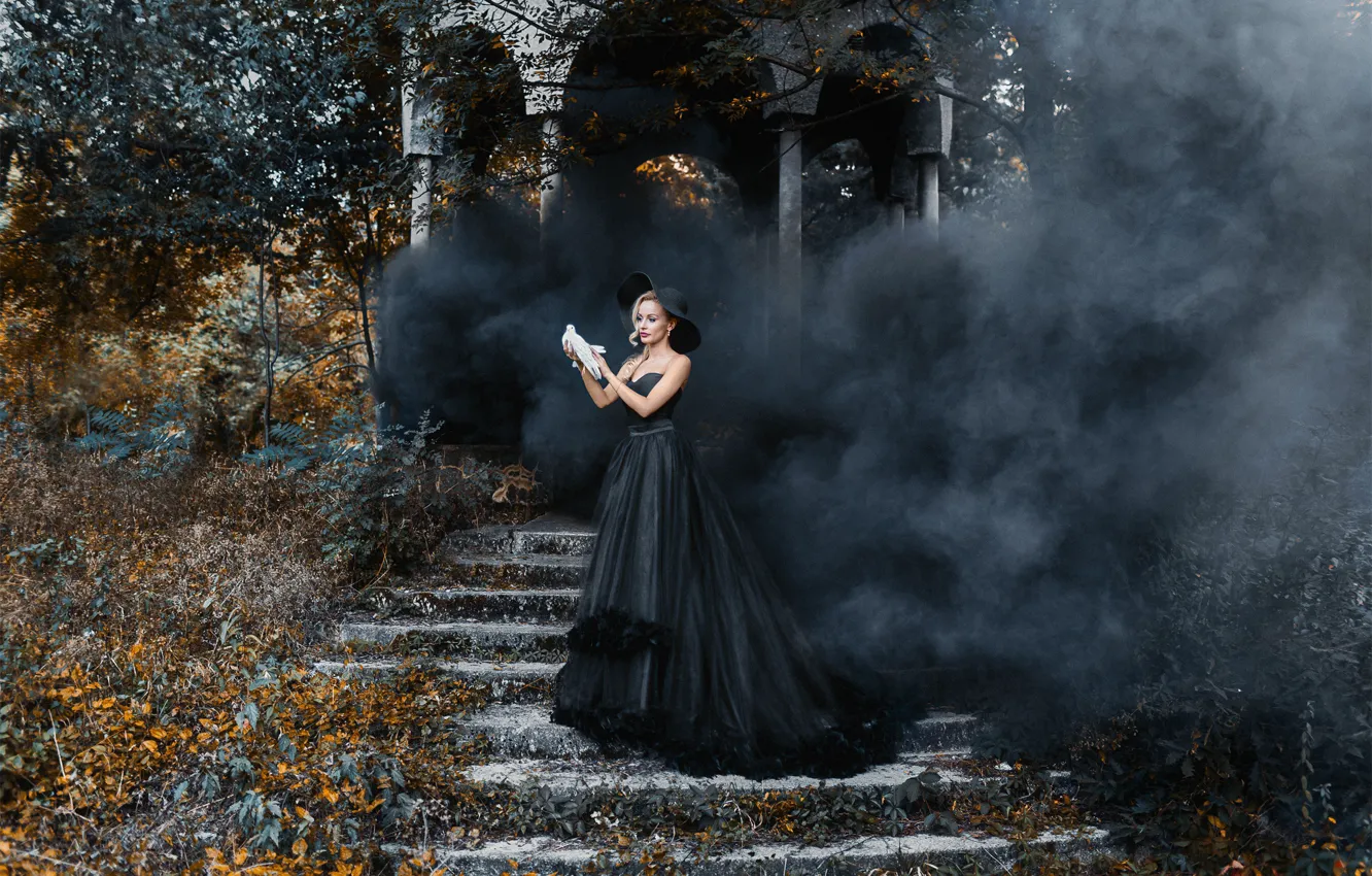Фото обои природа, поза, дым, голубь, платье, лестница, девущка, Деян Романов