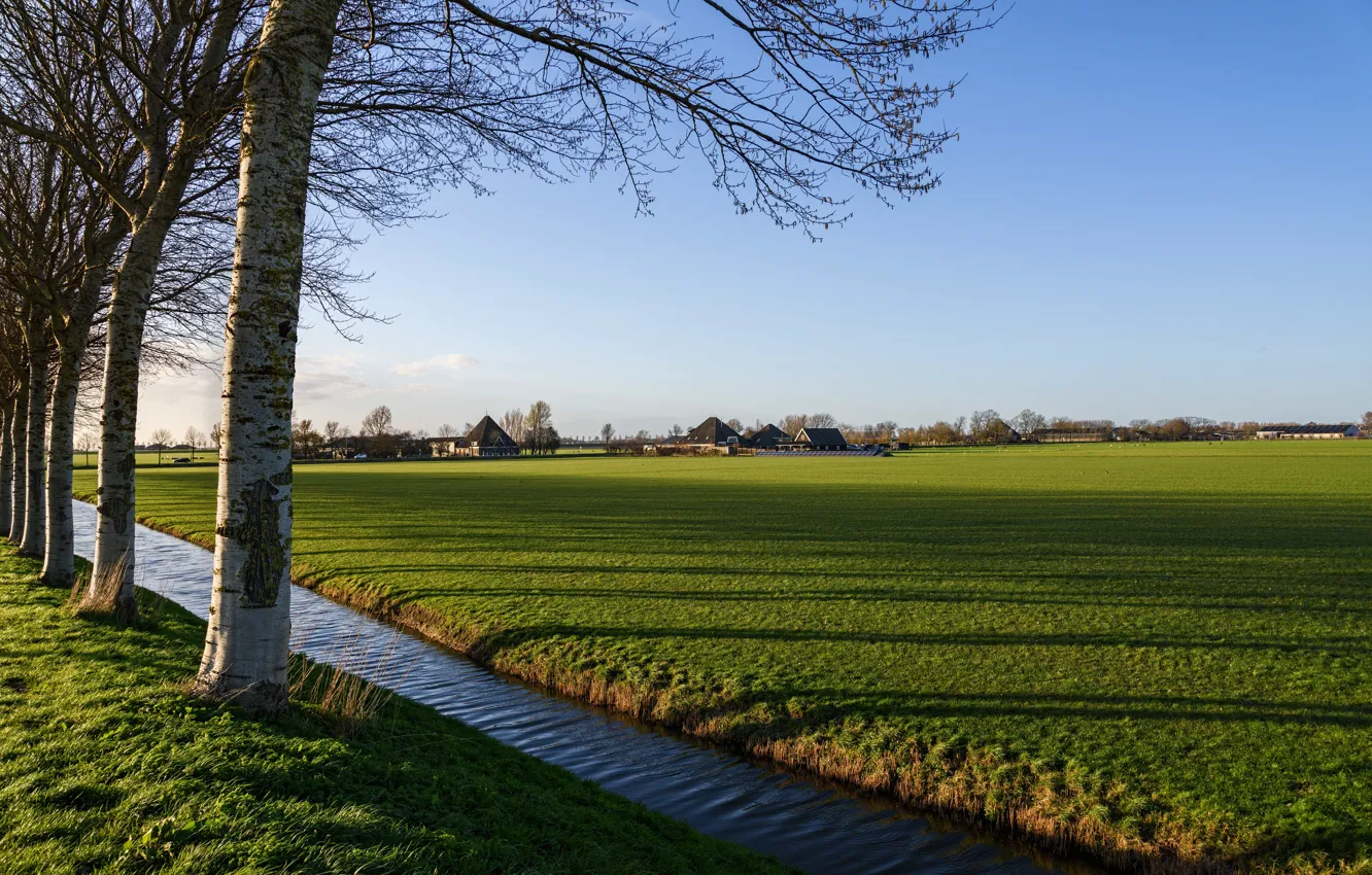 Фото обои поле, небо, трава, солнце, деревья, канал, домики, Нидерланды