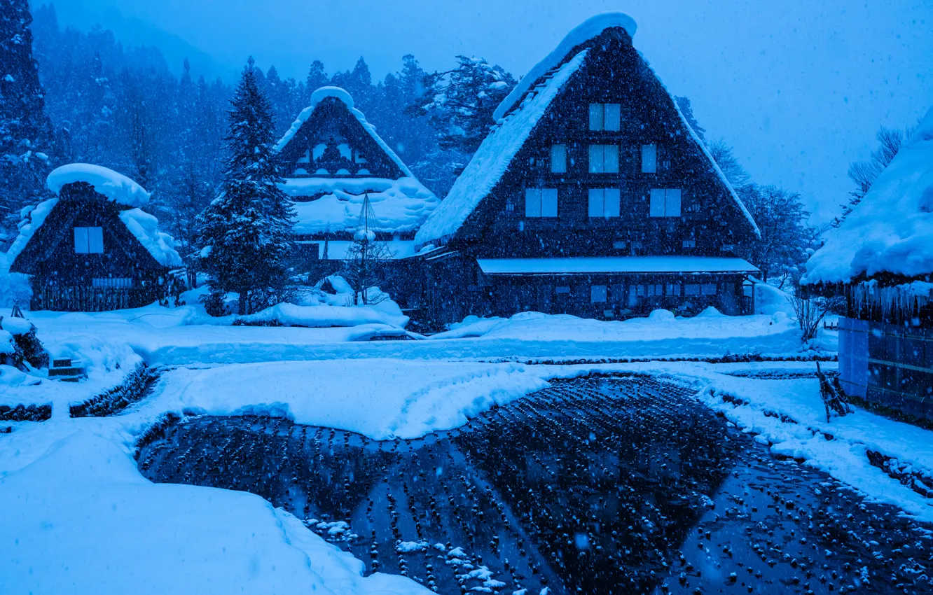 Фото обои зима, снег, дом, Япония, остров Хонсю, Гокаяма, Сиракава-го