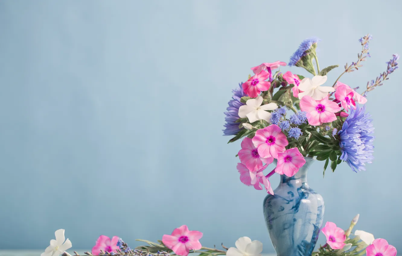 Фото обои цветы, стол, букет, ваза, флоксы, Maya Kruchenkova