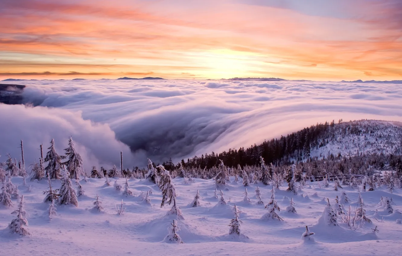 Фото обои зима, море, лес, снег, облаков