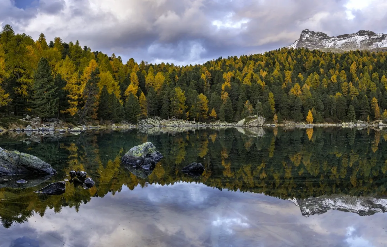 Фото обои осень, лес, деревья, горы, озеро, отражение, Швейцария, Switzerland