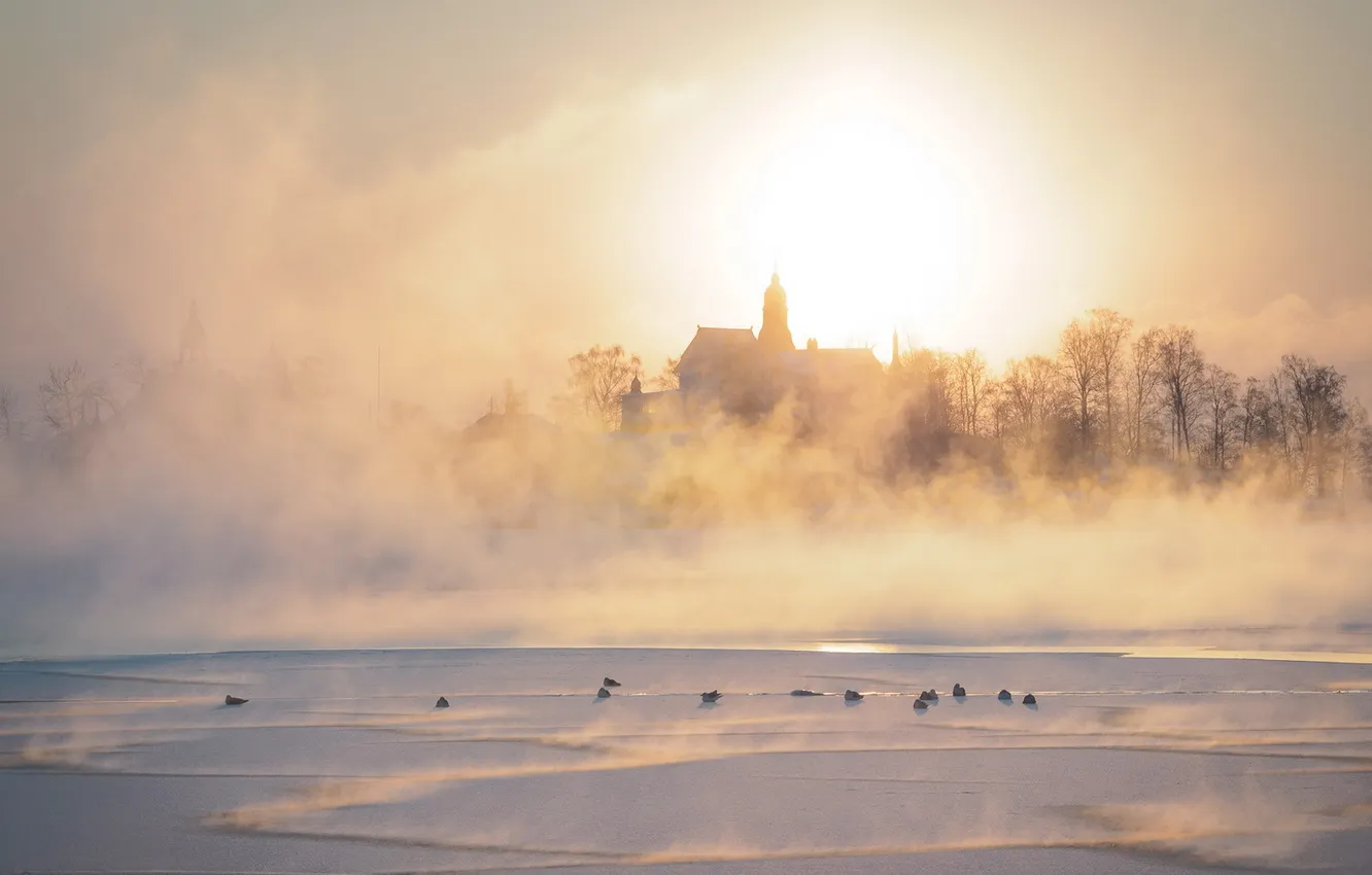 Фото обои зима, туман, река, утки, утро