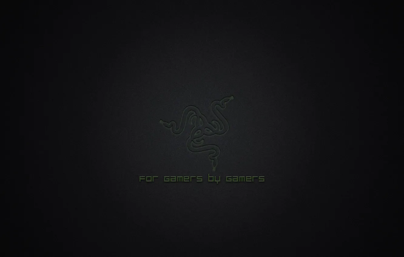 Фото обои Green, Black, Logo, Razer, Wallpaper, Hi-Tech, Minimalism, For Gamers By Gamers