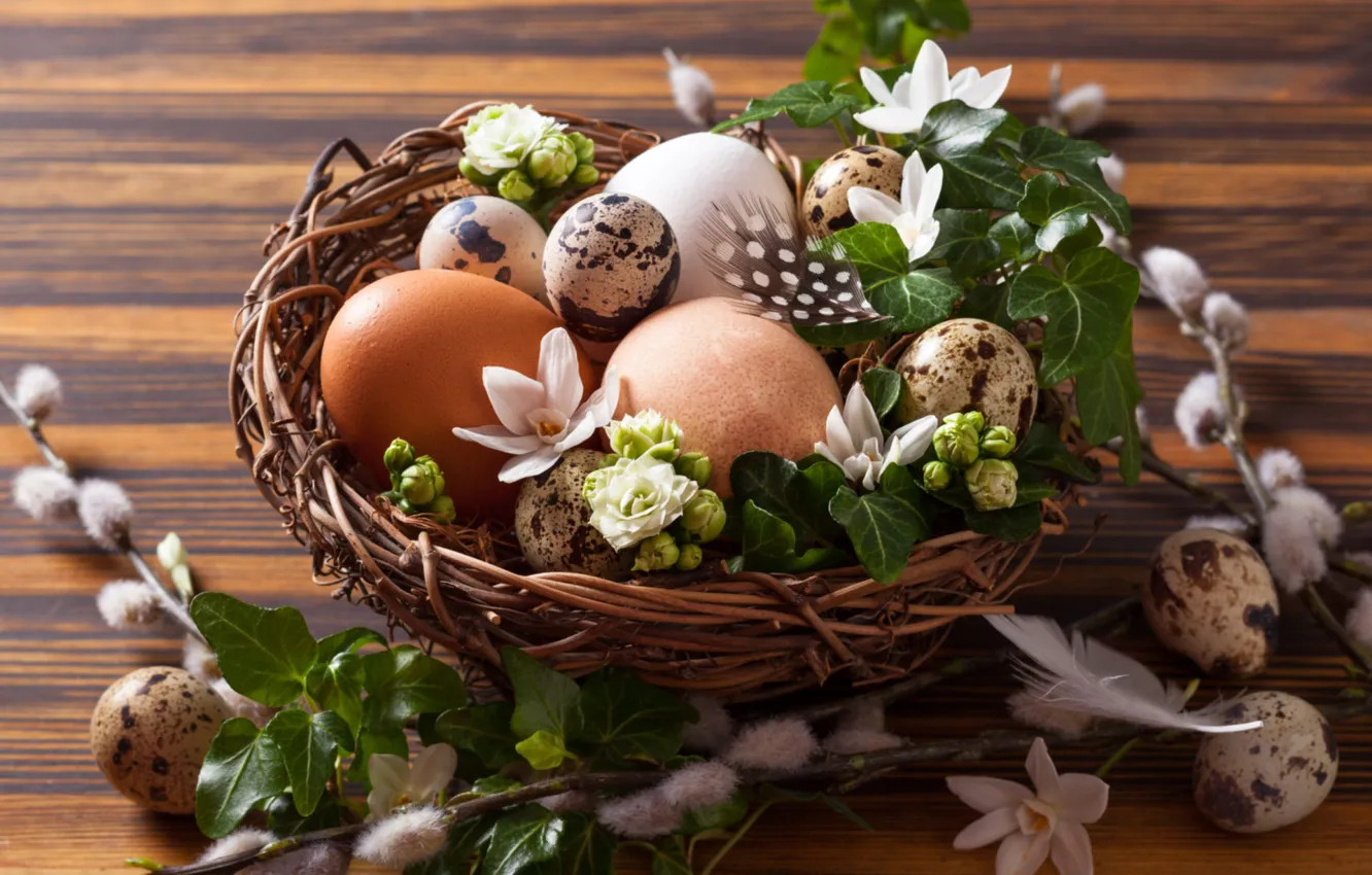 Фото обои яйца, Пасха, гнездо, верба