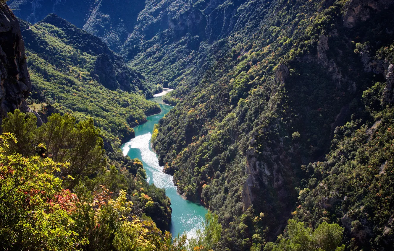 Фото обои лес, солнце, деревья, горы, река, скалы, Франция, ущелье