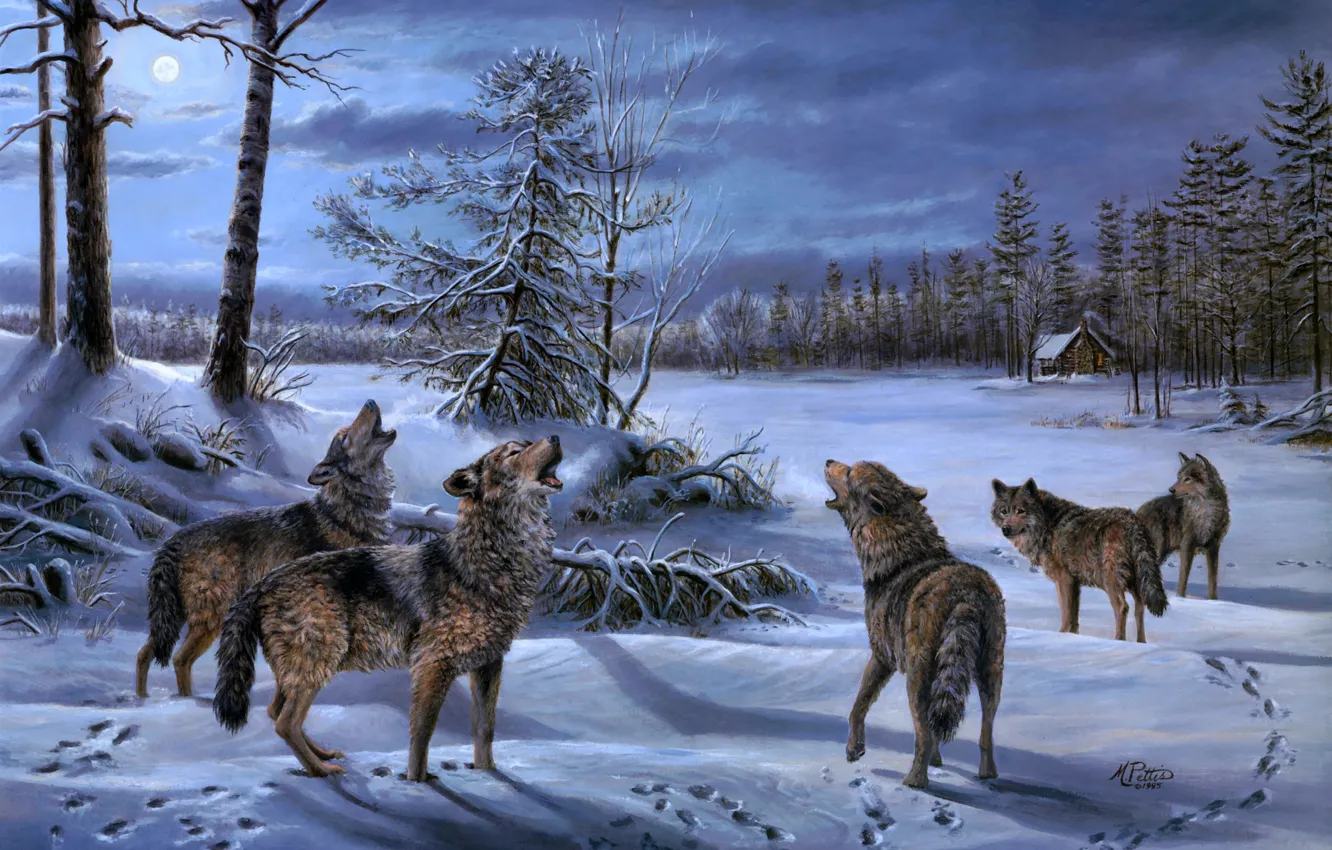 Фото обои зима, лес, ночь, луна, волк, стая, волки, хижина