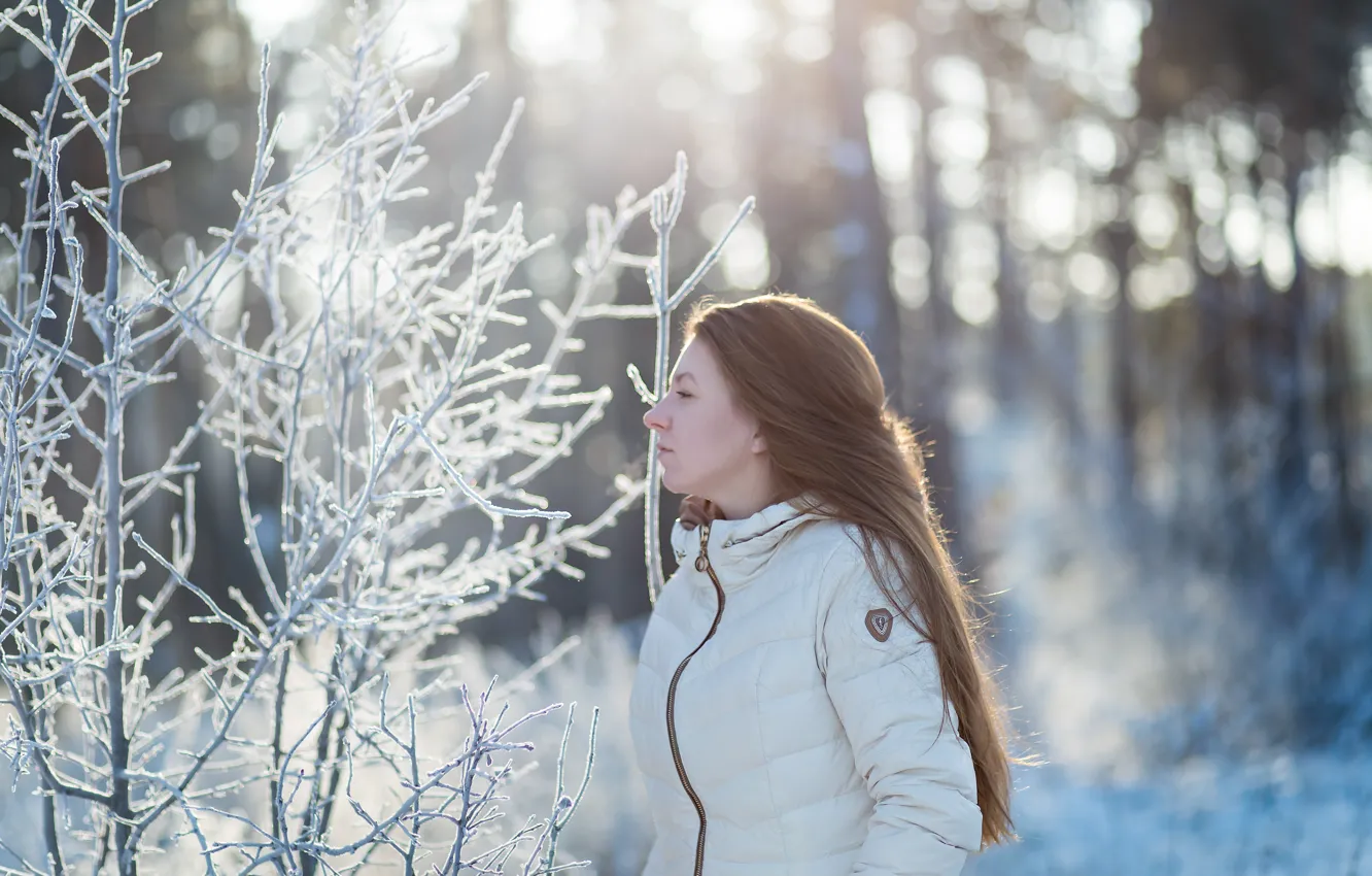 Фото обои зима, девушка, снег, портрет, утро