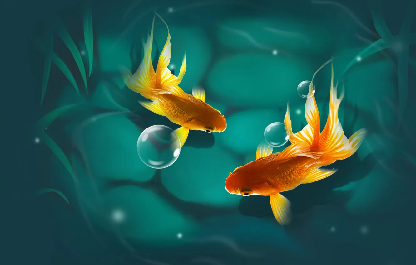Фото обои рыбки, настроение, арт, золотые рыбки