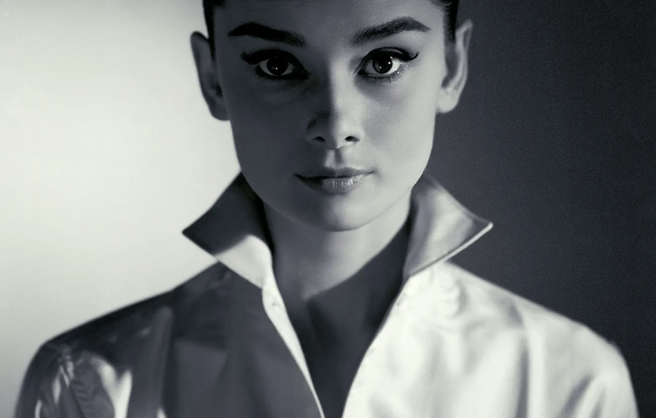 Фото обои портрет, актриса, брюнетка, Audrey Hepburn