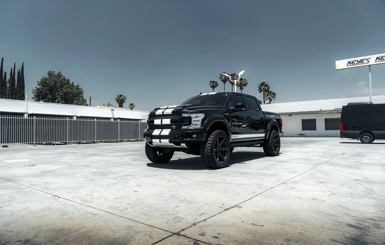 Фото обои Shelby, Black, White, F-150