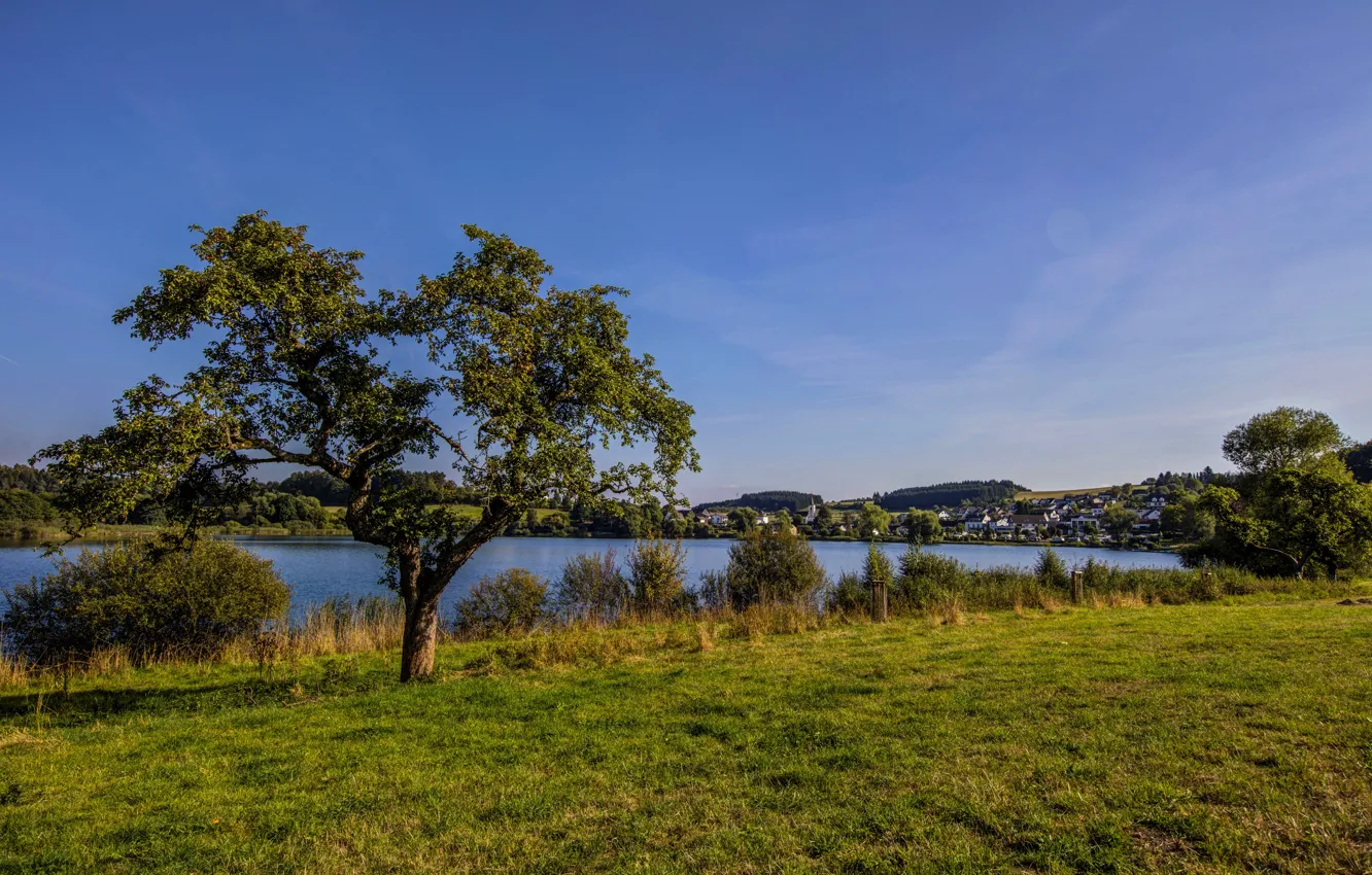 Фото обои зелень, небо, трава, деревья, река, берег, дома, Германия