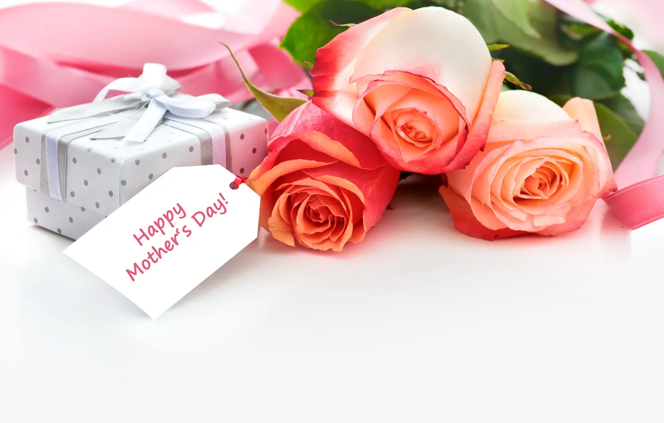 Фото обои цветы, праздник, розы, бантик, открытка, коробочка