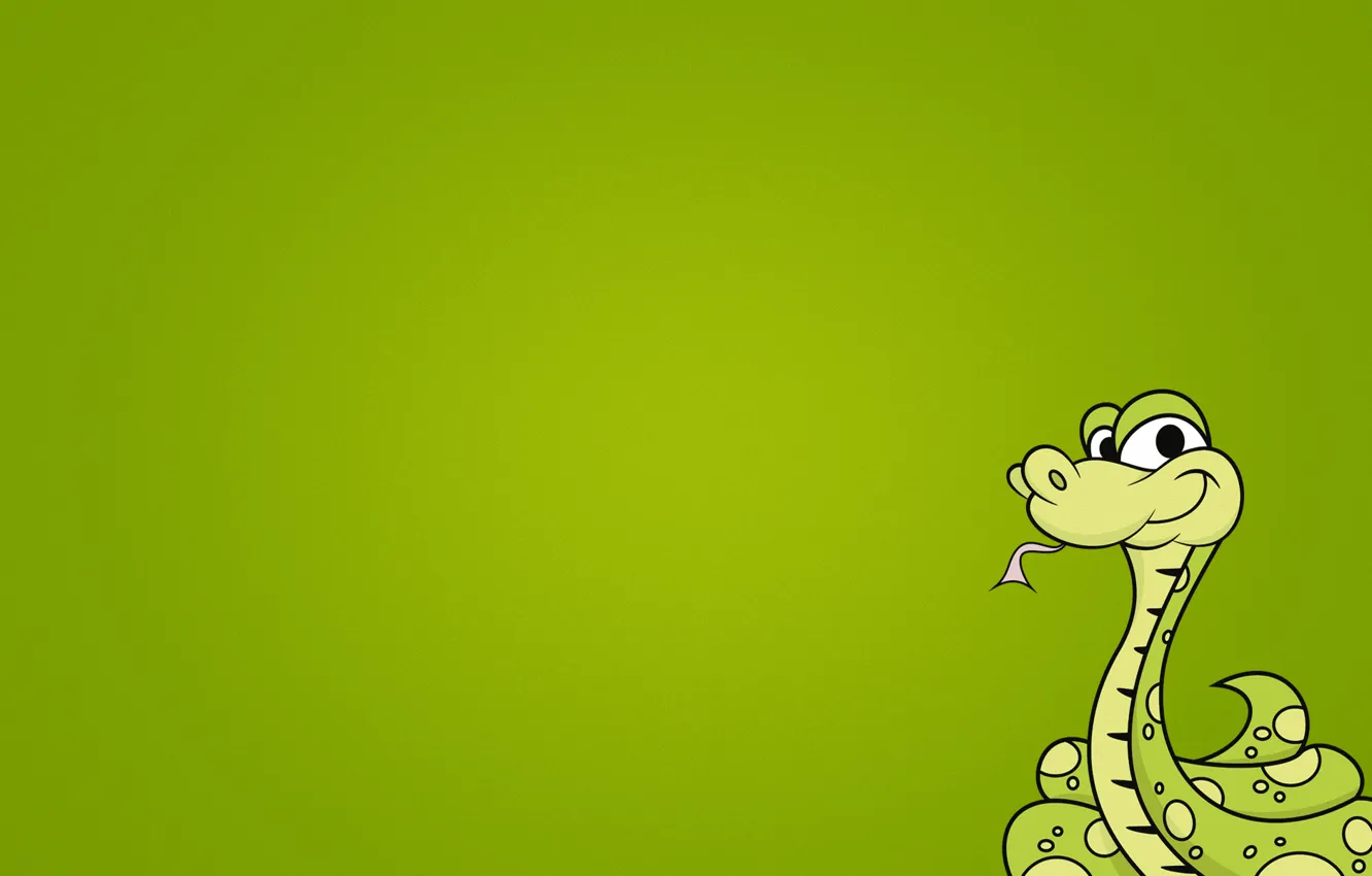 Фото обои змея, минимализм, зеленый фон