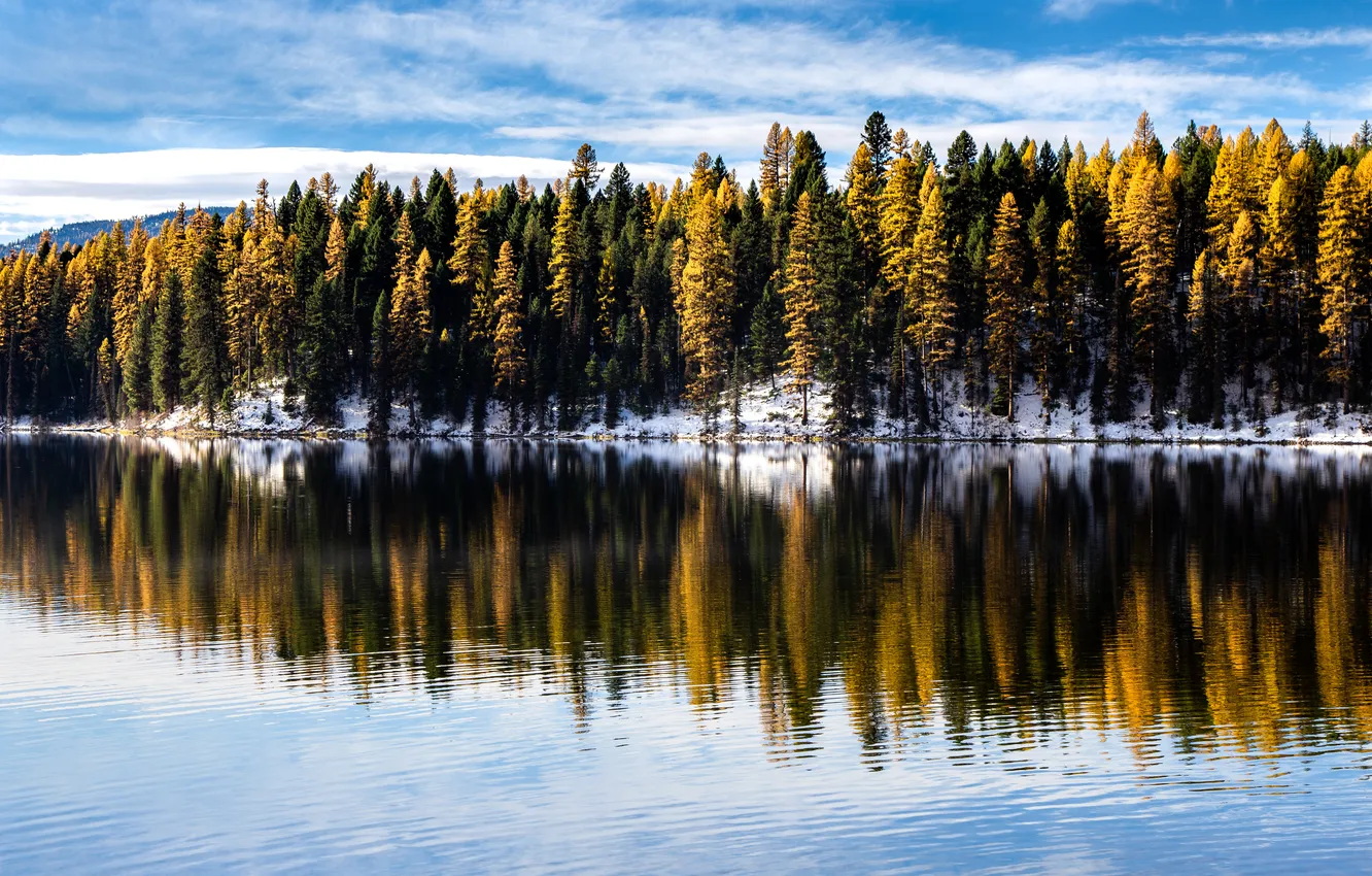 Фото обои USA, Montana, Larch, Eric Henderson
