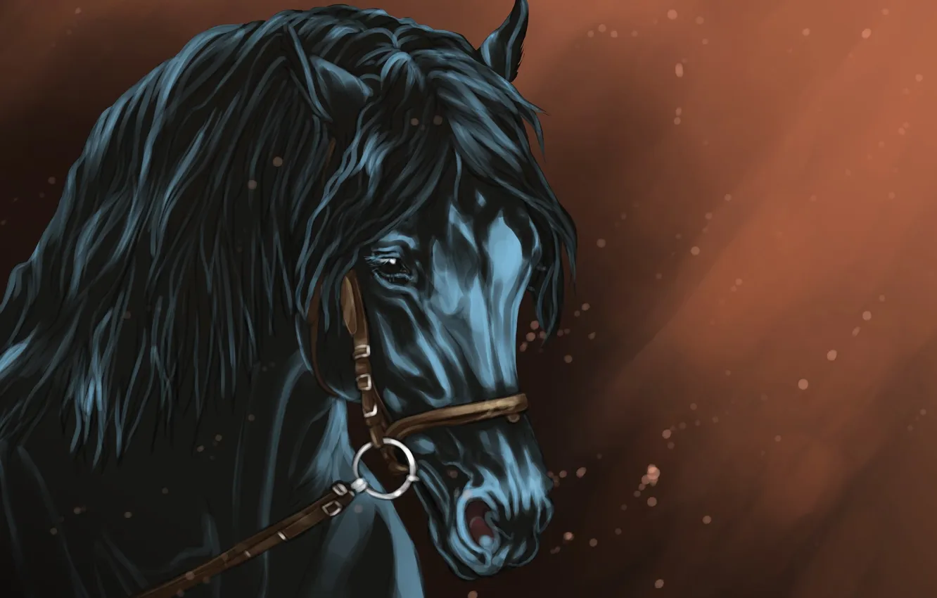 Фото обои взгляд, фон, лошадь, арт, черная