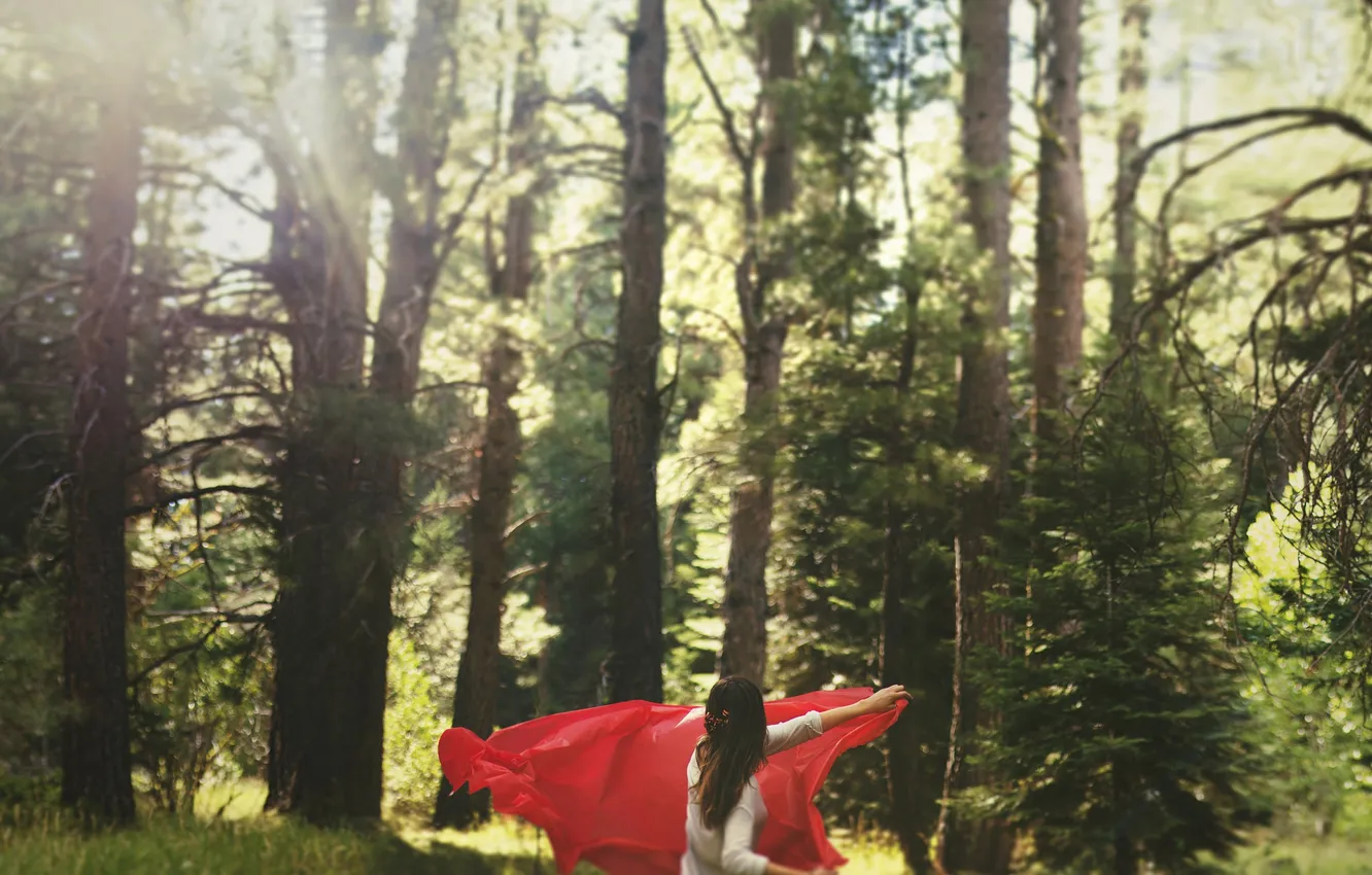Фото обои лес, девушка, деревья, красный, платок