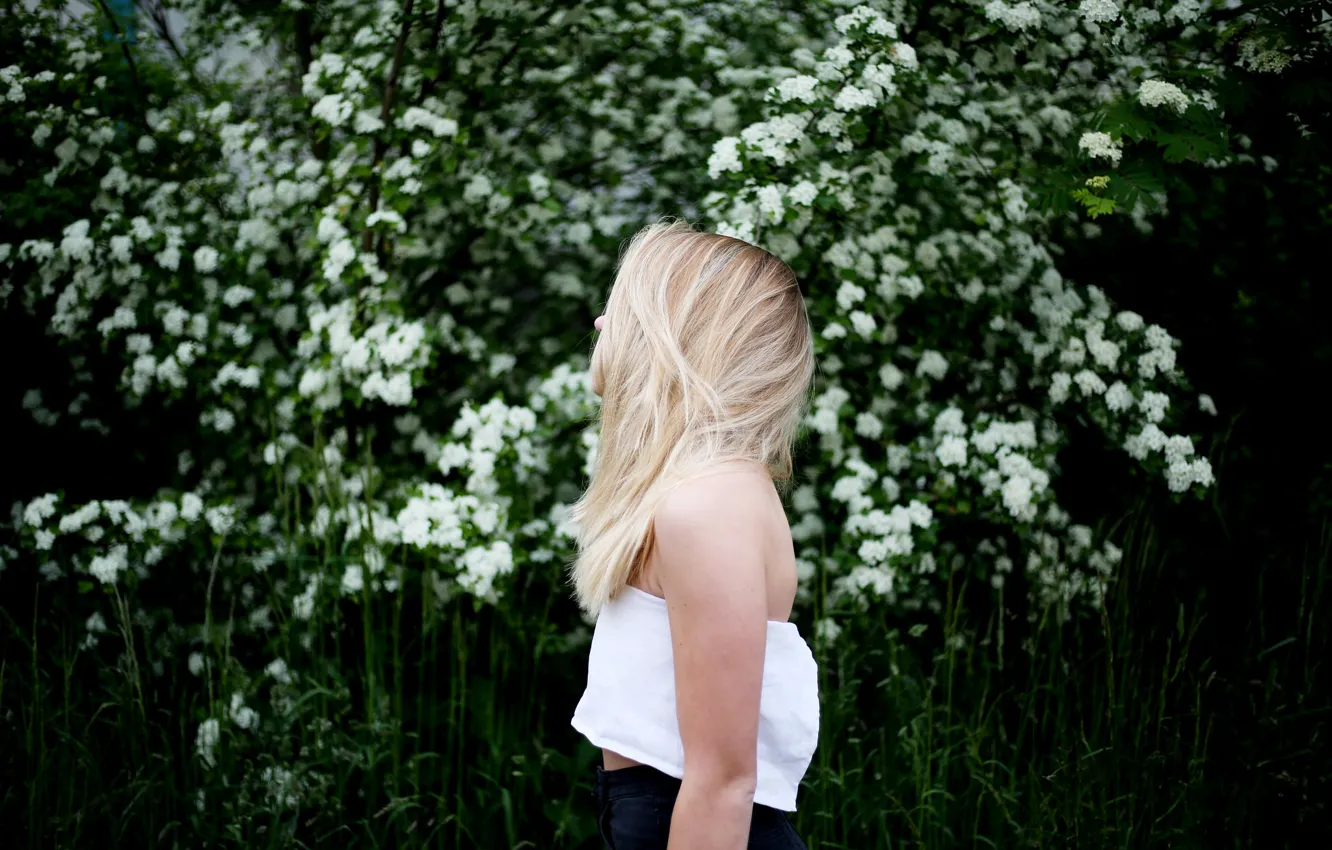 Фото обои девушка, куст, блондинка, профиль, белые цветы