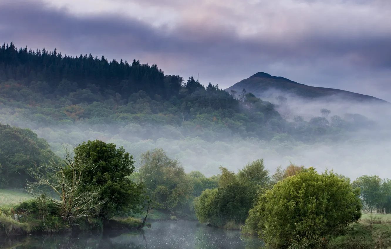 Фото обои лес, горы, туман, озеро, утро, дымка