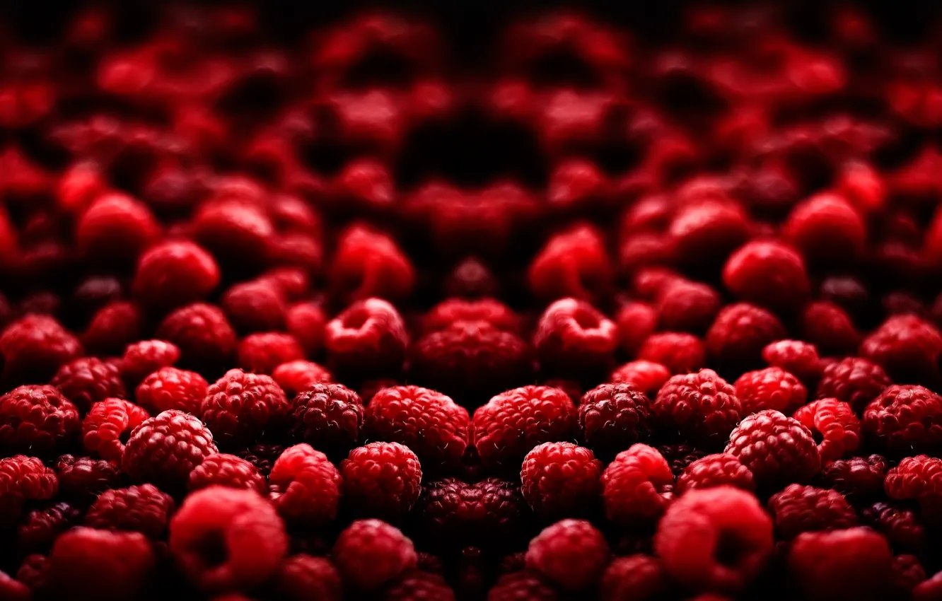 Фото обои малина, Макро, ягода, красная, боке